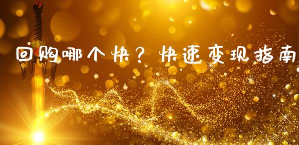 回购哪个快？快速变现指南_https://cj001.lansai.wang_财经百问_第1张