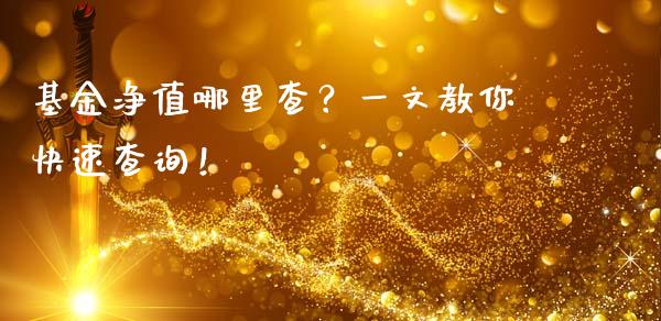 基金净值哪里查？一文教你快速查询！_https://cj001.lansai.wang_会计问答_第1张