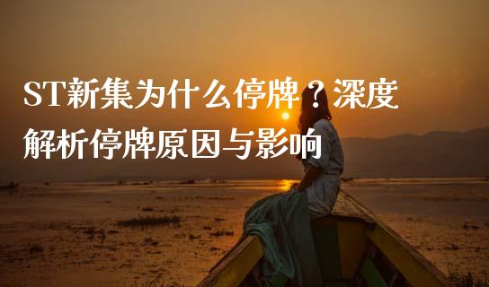 ST新集为什么停牌？深度解析停牌原因与影响_https://cj001.lansai.wang_金融问答_第1张