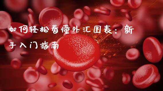 如何轻松看懂外汇图表:新手入门指南_期货问答_第1张_财经百问网 如何轻松看懂外汇图表:新手入门指南_https://cj001.lansai.wang_期货问答_第1张