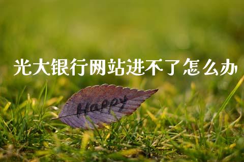 光大银行网站进不了怎么办_https://cj001.lansai.wang_金融问答_第1张