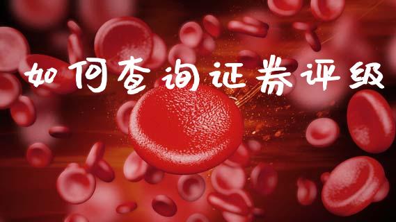 如何查询证券评级_https://cj001.lansai.wang_股市问答_第1张