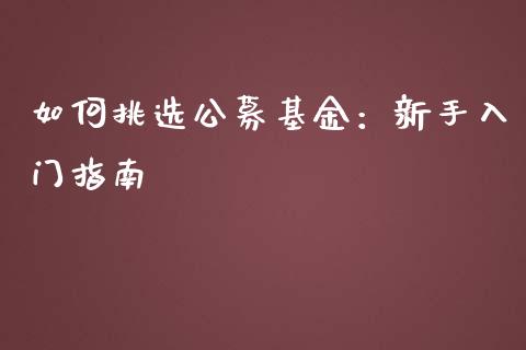 如何挑选公募基金：新手入门指南_https://cj001.lansai.wang_财经百问_第1张