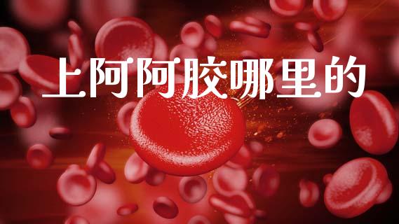 上阿阿胶哪里的_https://cj001.lansai.wang_期货问答_第1张