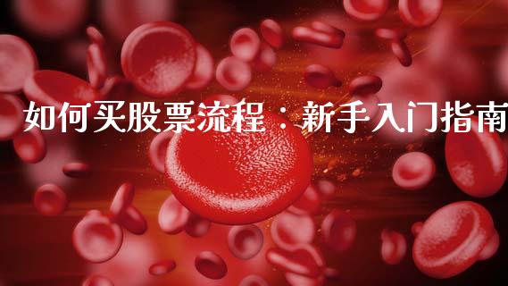 如何买股票流程：新手入门指南_https://cj001.lansai.wang_财经问答_第1张