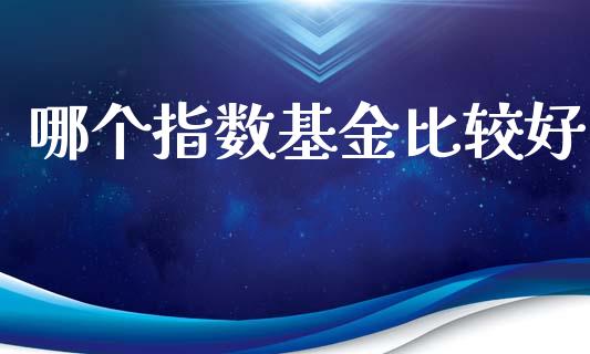 哪个指数基金比较好_https://cj001.lansai.wang_会计问答_第1张