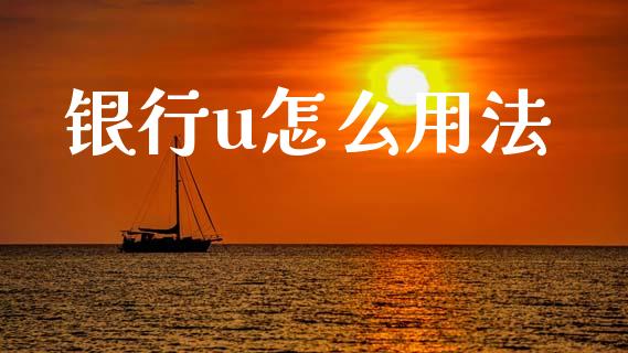 银行u怎么用法_https://cj001.lansai.wang_金融问答_第1张