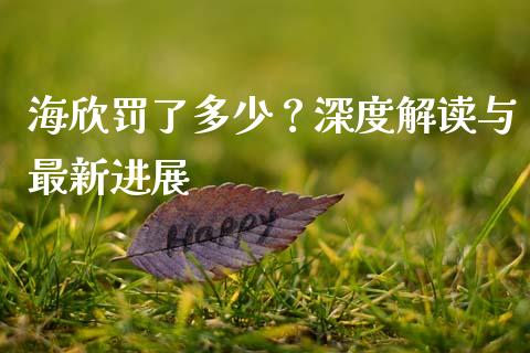海欣罚了多少？深度解读与最新进展_https://cj001.lansai.wang_期货问答_第1张