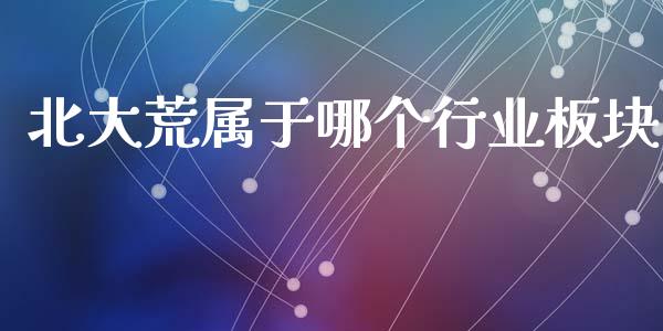 北大荒属于哪个行业板块_https://cj001.lansai.wang_股市问答_第1张