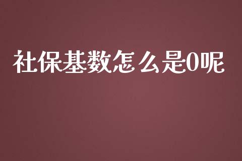 社保基数怎么是0呢_https://cj001.lansai.wang_保险问答_第1张