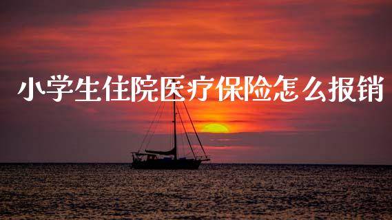小学生住院医疗保险怎么报销_https://cj001.lansai.wang_保险问答_第1张