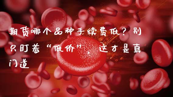 期货哪个品种手续费低？别只盯着“低价”，这才是真门道_https://cj001.lansai.wang_股市问答_第1张