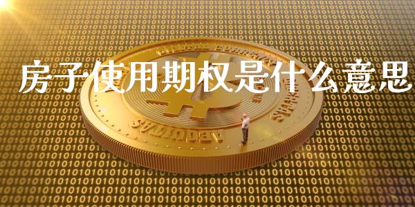 房子使用期权是什么意思_https://cj001.lansai.wang_理财问答_第1张