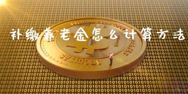 补缴养老金怎么计算方法_https://cj001.lansai.wang_保险问答_第1张