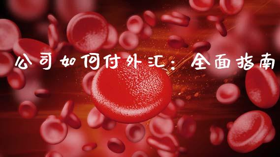 公司如何付外汇：全面指南_https://cj001.lansai.wang_会计问答_第1张