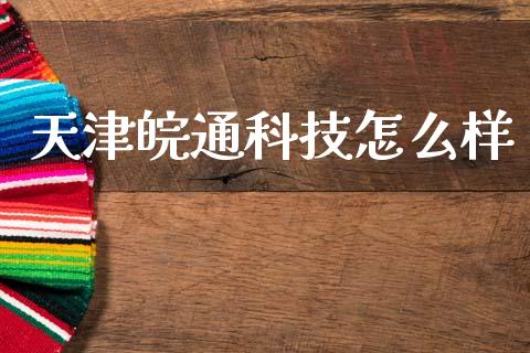 天津皖通科技怎么样_https://cj001.lansai.wang_财经百问_第1张