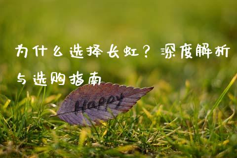 为什么选择长虹？深度解析与选购指南_https://cj001.lansai.wang_财经问答_第1张