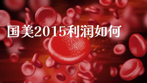 国美2015利润如何_https://cj001.lansai.wang_理财问答_第1张