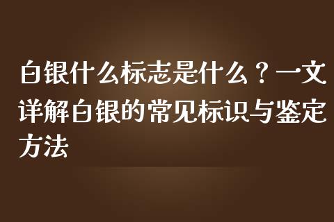 白银什么标志是什么？一文详解白银的常见标识与鉴定方法_https://cj001.lansai.wang_会计问答_第1张