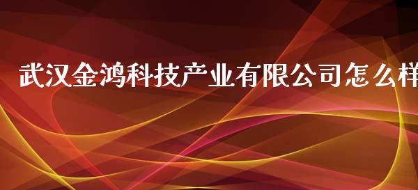 武汉金鸿科技产业有限公司怎么样_https://cj001.lansai.wang_保险问答_第1张