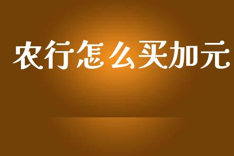 农行怎么买加元_https://cj001.lansai.wang_财经问答_第1张