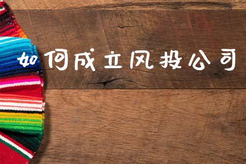 如何成立风投公司_https://cj001.lansai.wang_财经百问_第1张