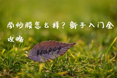 学炒股怎么样？新手入门全攻略_https://cj001.lansai.wang_期货问答_第1张