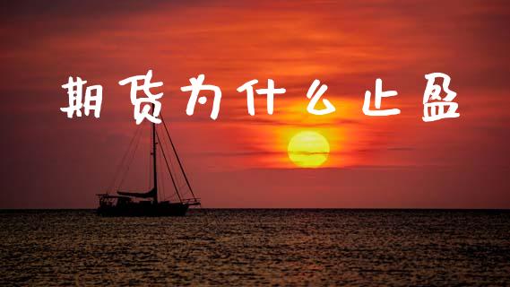 期货为什么止盈_https://cj001.lansai.wang_期货问答_第1张
