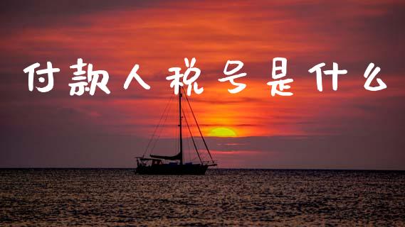 付款人税号是什么_https://cj001.lansai.wang_会计问答_第1张