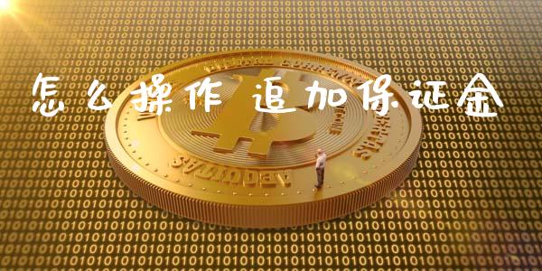 怎么操作 追加保证金_https://cj001.lansai.wang_会计问答_第1张