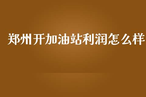 郑州开加油站利润怎么样_https://cj001.lansai.wang_财经问答_第1张