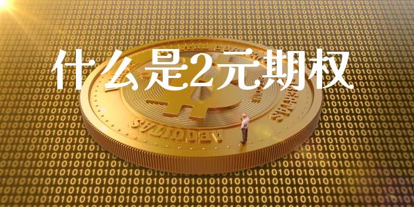 什么是2元期权_https://cj001.lansai.wang_财经问答_第1张