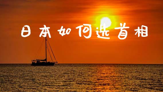 日本如何选首相_https://cj001.lansai.wang_理财问答_第1张