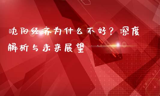 沈阳经济为什么不好？深度解析与未来展望_https://cj001.lansai.wang_期货问答_第1张