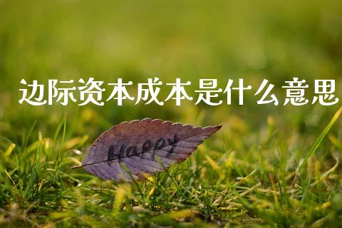 边际资本成本是什么意思_https://cj001.lansai.wang_会计问答_第1张