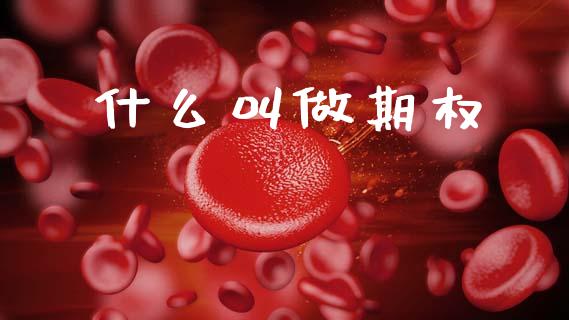 什么叫做期权_https://cj001.lansai.wang_金融问答_第1张