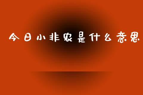 今日小非农是什么意思_https://cj001.lansai.wang_财经问答_第1张