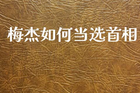 梅杰如何当选首相_https://cj001.lansai.wang_会计问答_第1张