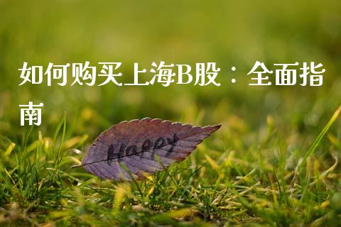 如何购买上海B股：全面指南_https://cj001.lansai.wang_金融问答_第1张