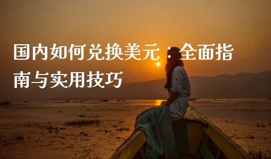 国内如何兑换美元：全面指南与实用技巧_https://cj001.lansai.wang_金融问答_第1张
