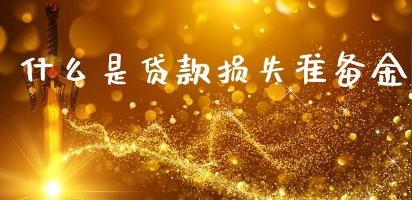 什么是贷款损失准备金_https://cj001.lansai.wang_会计问答_第1张