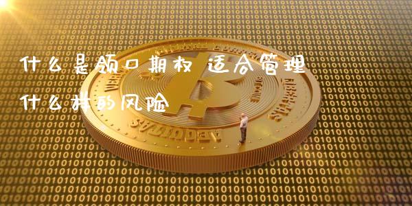 什么是领口期权 适合管理什么样的风险_https://cj001.lansai.wang_股市问答_第1张