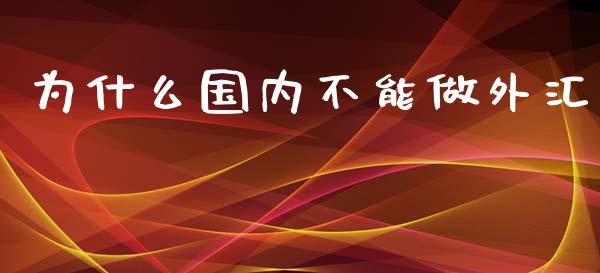 为什么国内不能做外汇_https://cj001.lansai.wang_财经百问_第1张