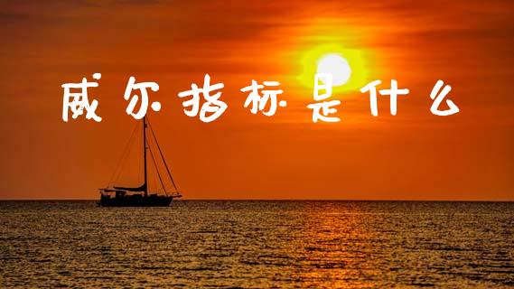 威尔指标是什么_https://cj001.lansai.wang_金融问答_第1张