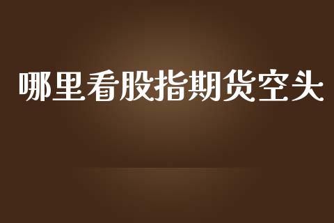 哪里看股指期货空头_https://cj001.lansai.wang_财经问答_第1张