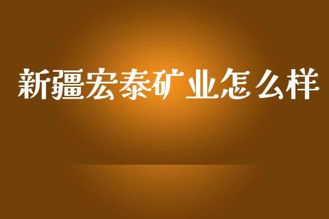 新疆宏泰矿业怎么样_https://cj001.lansai.wang_保险问答_第1张