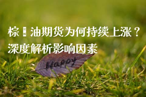 棕榈油期货为何持续上涨？深度解析影响因素_https://cj001.lansai.wang_会计问答_第1张