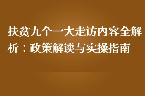 扶贫九个一大走访内容全解析：政策解读与实操指南_https://cj001.lansai.wang_理财问答_第1张