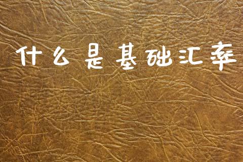 什么是基础汇率_https://cj001.lansai.wang_财经问答_第1张