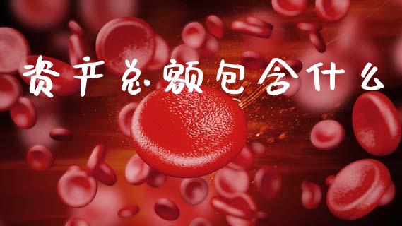 资产总额包含什么_https://cj001.lansai.wang_会计问答_第1张